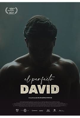El perfecto David free movies