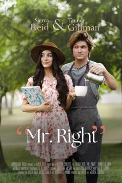 Mr. Right free movies