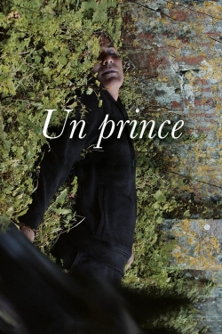 A Prince free movies