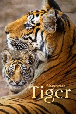 Tiger free movies