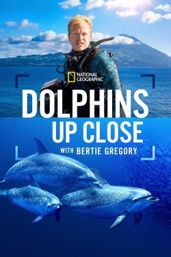 Dolphins Up Close with Bertie Gregory free movies