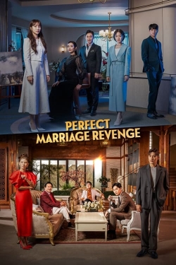 Perfect Marriage Revenge free movies