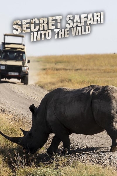 Secret Safari: Into the Wild free movies