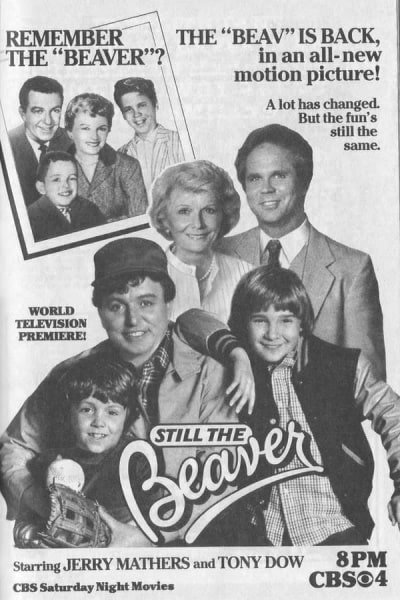 Still the Beaver free movies