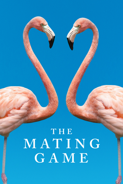 The Mating Game free movies