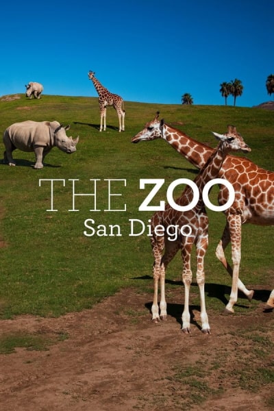 The Zoo: San Diego free movies