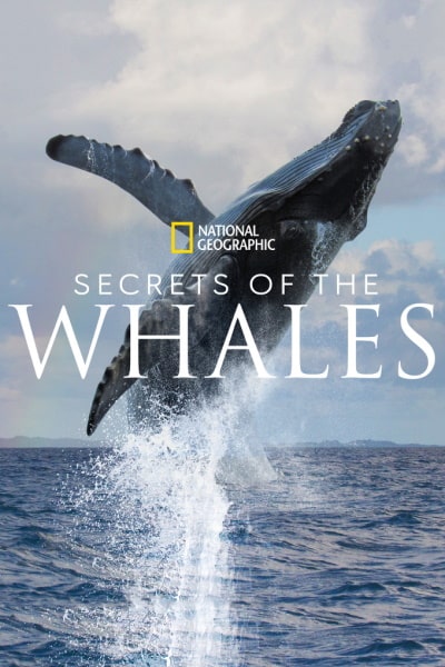Secrets of the Whales free movies