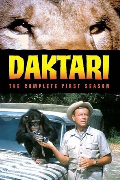 Daktari free movies