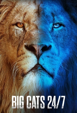 Big Cats 24/7 free movies
