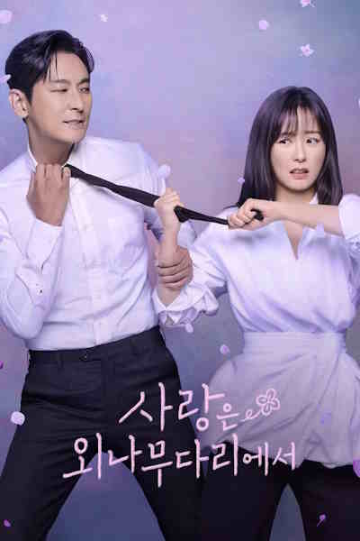 Love Your Enemy (Sarangeun Oenamudarieseo) free movies