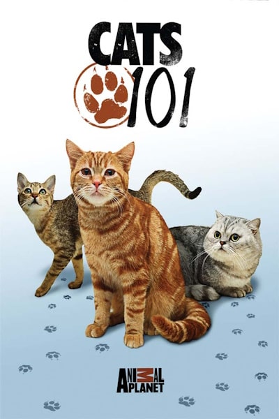 Cats 101 free movies