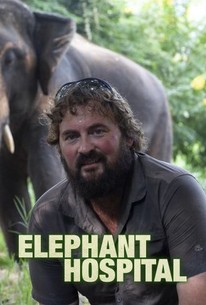 Elephant Hospital free movies