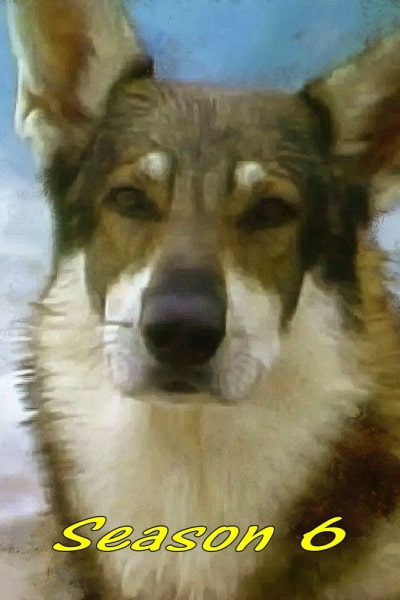 The Littlest Hobo free movies