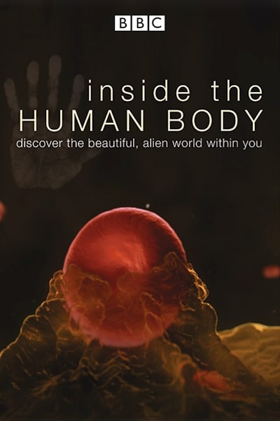 Inside the Human Body free movies