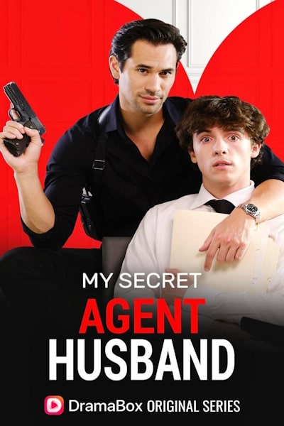 My Secret Agent Husband free movies