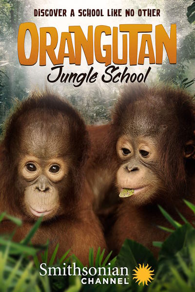 Orangutan Jungle School free movies