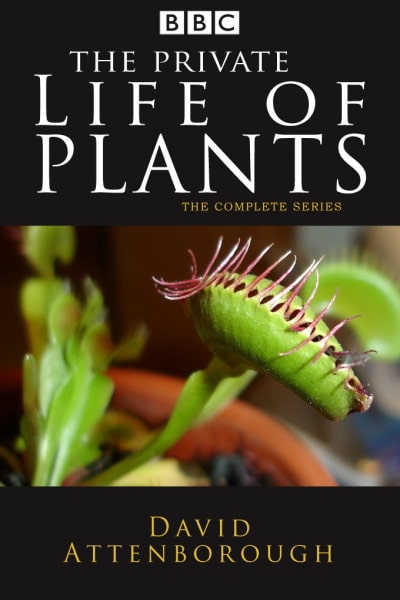 The Private Life of Plants free movies