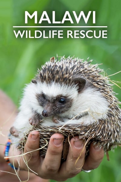 Malawi Wildlife Rescue free movies