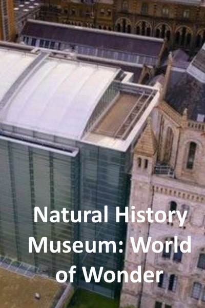 Natural History Museum: World of Wonder free movies