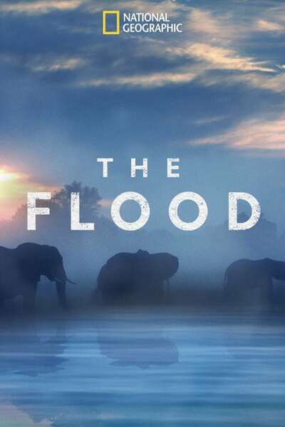 The Flood free movies