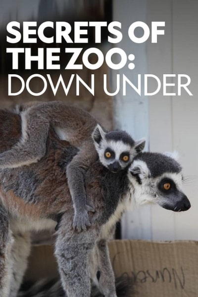 Secrets of the Zoo: Down Under free movies
