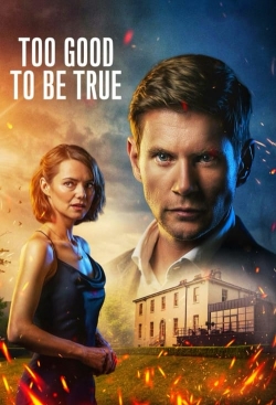 Too Good To Be True free movies