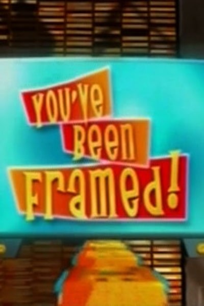 Youve Been Framed free movies