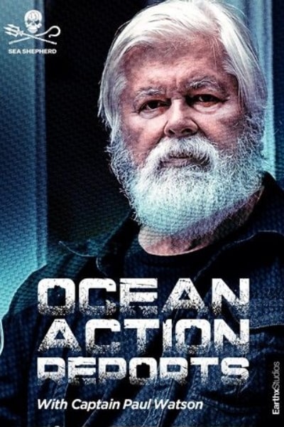 Ocean Action Reports free movies